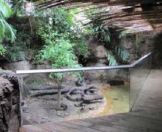 JungleWorld at the Bronx Zoo