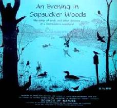 Evening In Sapsucker Woods, 10" LP version