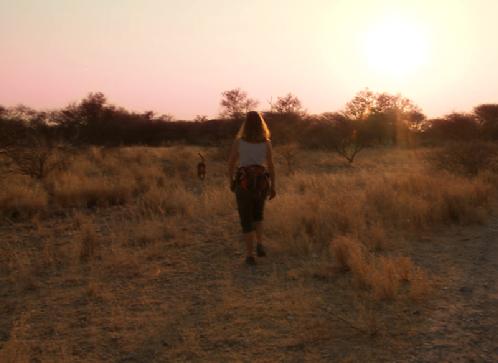 dawn in desert